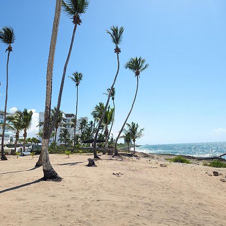 Jardines Del Mar Todas Las Amenidades Reserva Inmediata Villa Del Mar Eksteriør bilde